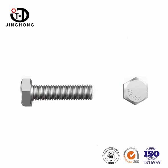 Bulloni esagonali in acciaio inossidabile da 10 mm