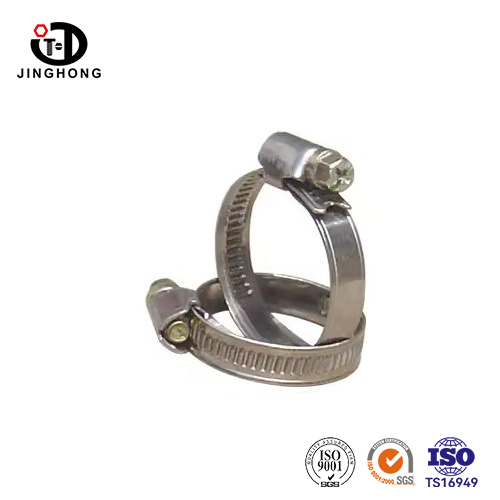 Din 3017 Bullone per tubo flessibile